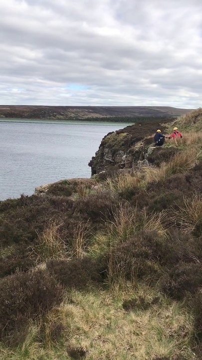 Lamb rescued from cliff edge in Sheffield