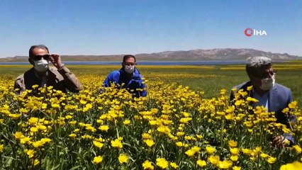Vali Bilmez: “Buralara halaylar, dostluklar ve kardeşlik yakışır”