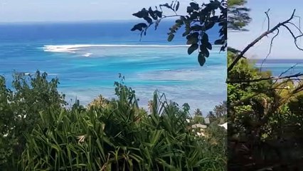 A VENDRE TERRAIN DE 5000M2 A VAIANAE-MOOREA (LOT2)