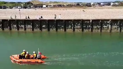 Dog rescued from near Littlehampton Pier