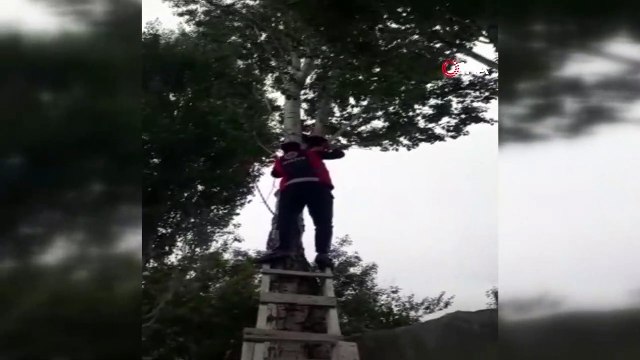 Ağrı’da ağacın tepesinde mahsur kalan kedi kurtarıldı