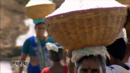 Storia del mondo 8 - L'epoca degli estremi