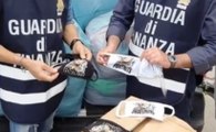 Succivo (CE) - Sequestrata fabbrica abusiva di mascherine con loghi contraffatti (01.06.20)