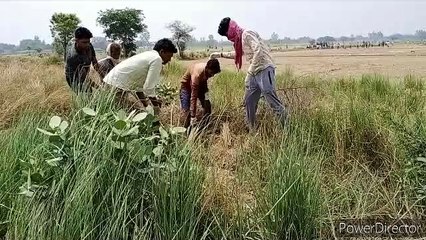 तालाब किनारे मिला युवक का गोली लगा शव,हत्या की आशंका