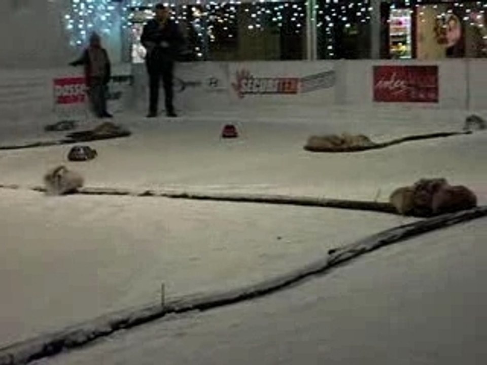 Malmedy2007-2008-video5