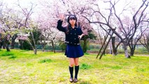 Sakura Rain【桜ノ雨】- By Katyi Pup ( English Ver. ) feat Blue Curry dance