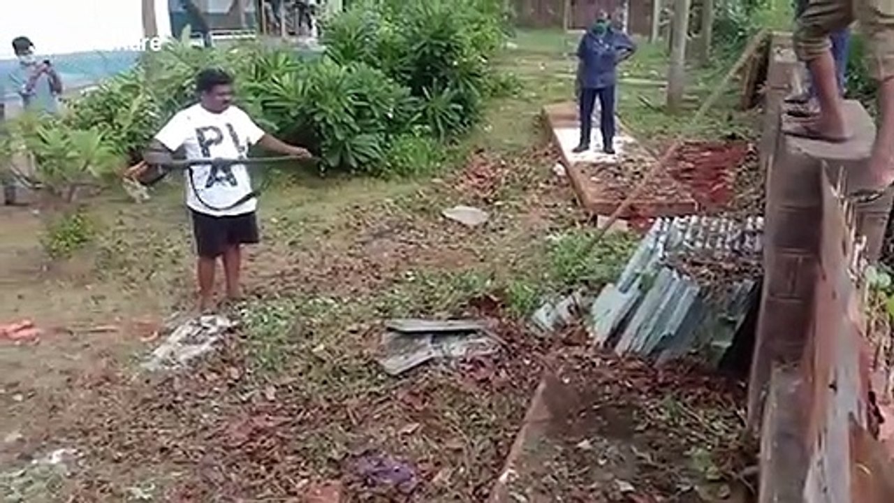 Animal rescuer pulls out venomous snake from underneath concrete slab in southern India