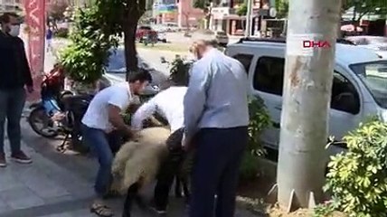 İşbaşı yapan kebapçılardan davulu zurnalı kutlama