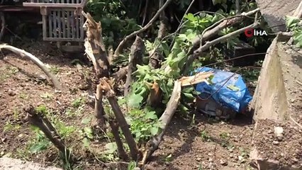 Virajı alamayan vinç devrildi