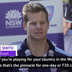 Playing at a World Cup is the pinnacle, but IPL not a bad alternative says Steve Smith