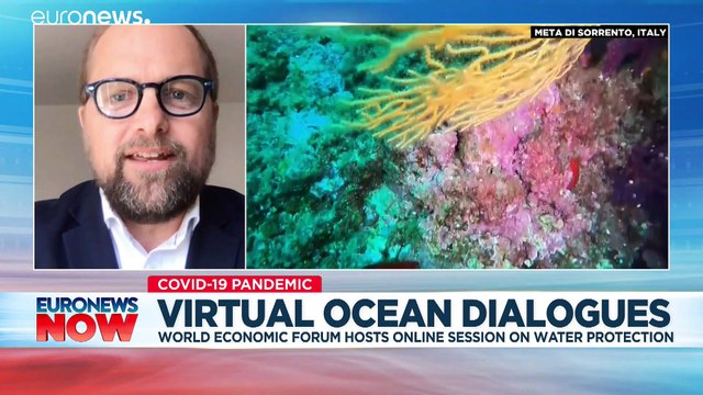 World Oceans Day: France increases fines for littering as plastic masks and gloves found on seabed