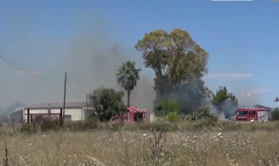 Cagliari - Incendio nel parco Molentargius - Saline: case evacuate (01.06.20)