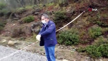 Kısıtlama kalktı, dağ yolları açıldı