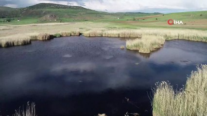 Koruma altına alınan 'Kaz gölü' kurumaktan kurtarılarak doğal görünümüne yeniden kavuştu