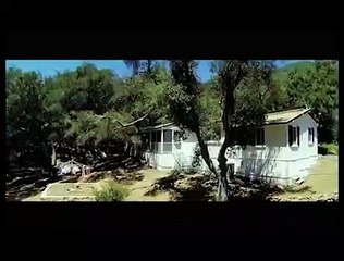 Tráfico de Mulheres - Trailer