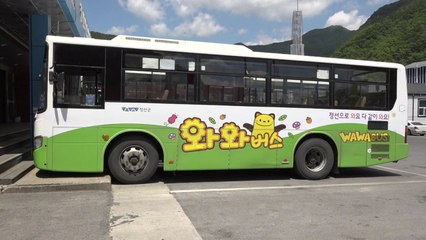 "무료 시내버스는 복지"...강원 정선 완전공영제 도입 / YTN