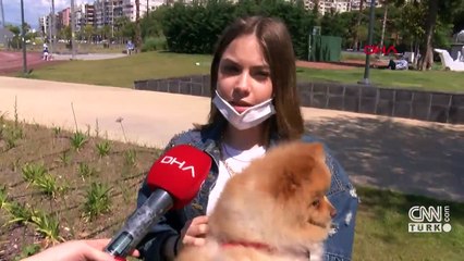 Hareketsiz yaşam evcil hayvanları da etkiledi