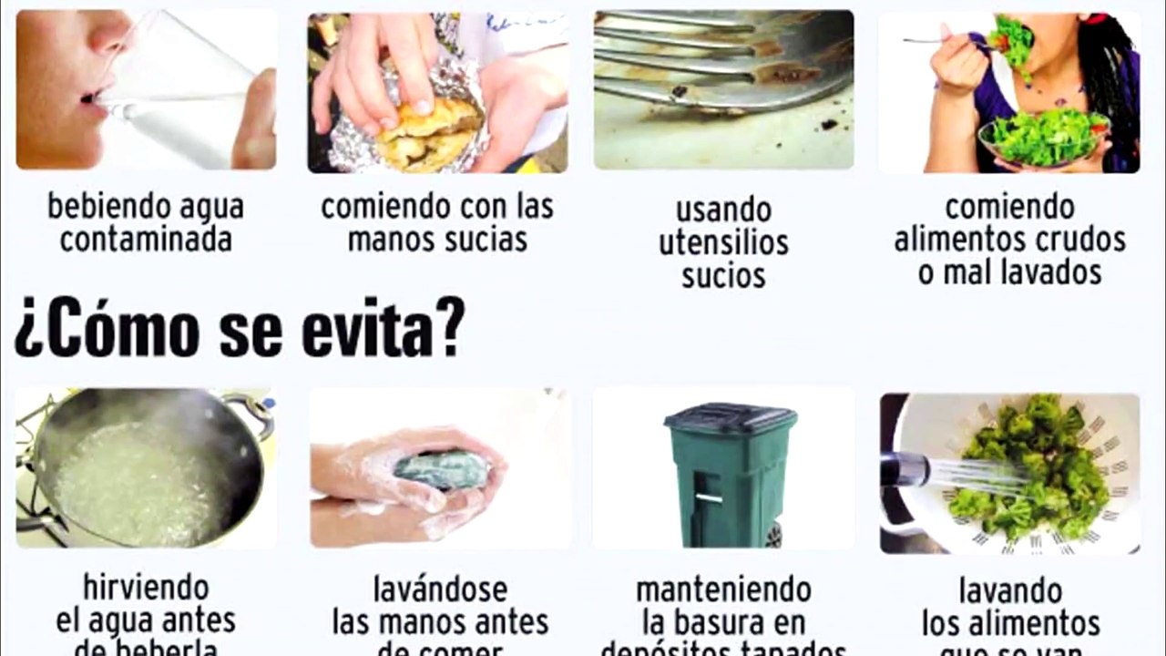 PARÁSITOS ASESINOS Que Podrías TENERLO Dentro