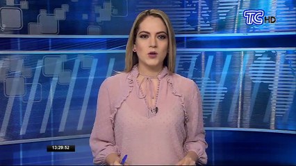 Presidente Lenín Moreno recibió especialistas alemanes que colaborarán con emergencia sanitaria en Ecuador