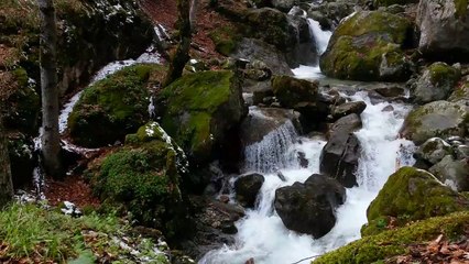 most beautiful waterfall with natural sound for mind relaxation