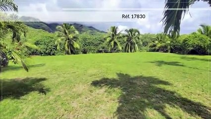 A VENDRE MAGNIFIQUE TERRAIN DE 940M2 (ARBORÉ ET VIABILISÉ) SUR MOOREA