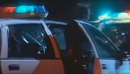 L.A. Riot Spectacular movie