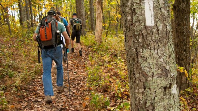 Get Paid $20,000 to Hike the Appalachian Trail As a 'Chief Hiking Officer'