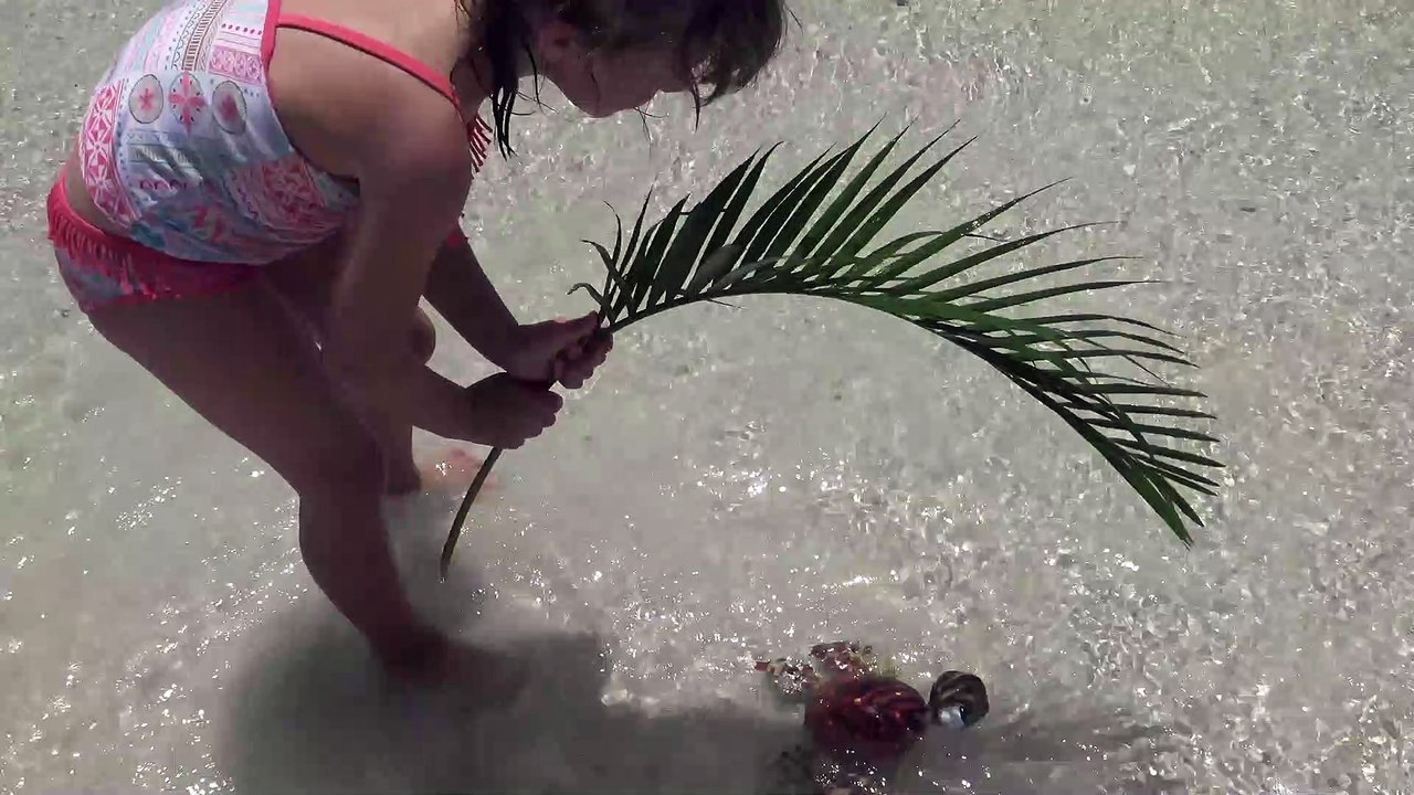 Baby Moana Brincando   na Praia