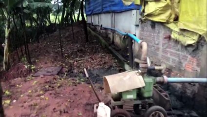 Suinocultor é preso pela PM Ambiental por lançar dejetos de animais diretamente em rio de Enéas Marques