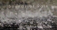 Sounds of Rain for Relaxation & Deep Sleep | Water Sound | Nature Sound | Mindfulness | White Noise