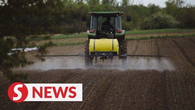 China orders firms to stop buying US farm goods