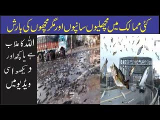 #HowToWaterspout#MachliyoonKiBarish#Qu#Hotihe#PhoolTv