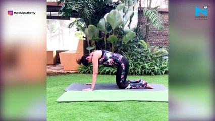 Watch, Shilpa Shetty nails Janu Sirshasana in new video