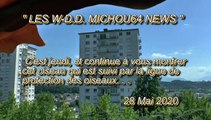 LES W-D.D. MICHOU64 NEWS - 27, 28, 29 et 30 MAI 2020 - PAU - NOUVELLES OBSERVATIONS DES OISEAUX SUR DES BALCONS