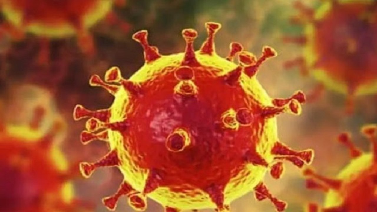 coronavirus: COVIDNEWMEDICINE : मिल गया कोरोना...