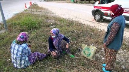 Tarım işçilerini taşıyan minibüse otomobil  böyle çarptı: 5 yaralı