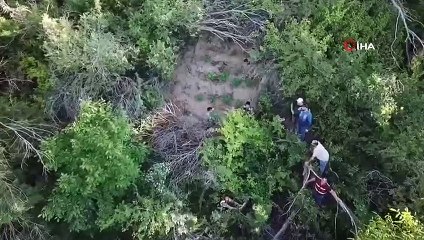 Malatya’da yasa dışı kenevir operasyonu