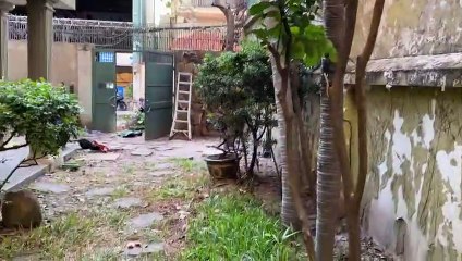 Cho thuê Biệt Thự Quận Bình Thạnh-chothuenguyencan.vn