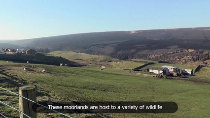 Be Moor Aware campaign in West Yorkshire