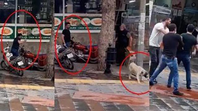 Köpeği sopayla dövdü, savunması 'pes' dedirtti