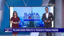 Beranjak dari Hobi, Ternak Burung Jadi Peluang Bisnis di Tengah Corona