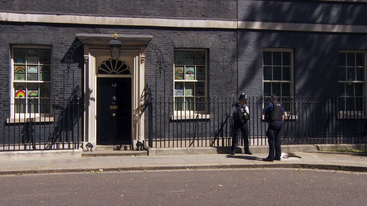 Larry the cat enjoys sunshine in Downing Street