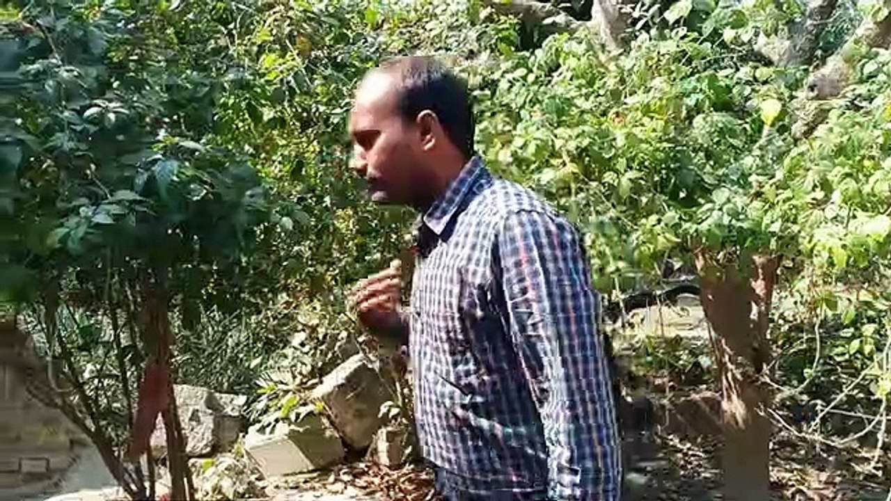 Funny Video __ _ Part - 5 _ __