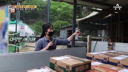 ※연 매출 4억 650만 원※ 전국 각지로 배송되는 달걀b