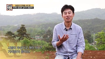 연이은 사업 실패에도 '달걀'로 갑부가 될 수 있었던 이유!