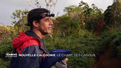 Nouvelle-Calédonie : Le chant des cagous