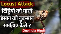 Locust Attack: टिड्डियों को मारने में भी इंसान और बाकी जीवों का नुकसान, समझिये कैसे | वनइंडिया हिंदी