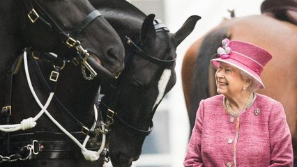 علاقة الملكة إليزابيث بالأحصنة: قصّة صداقة طويلة وشغف كبير