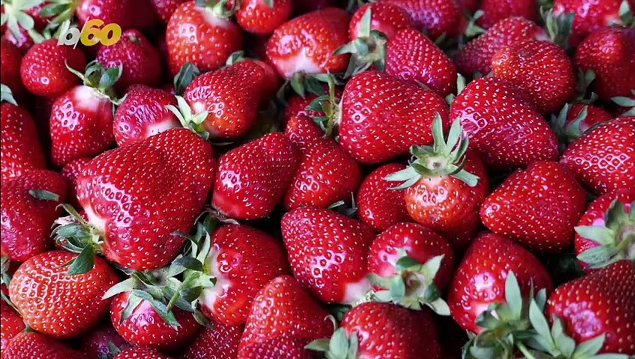 Eat These Water-Rich Foods to Help Keep You Hydrated This Summer