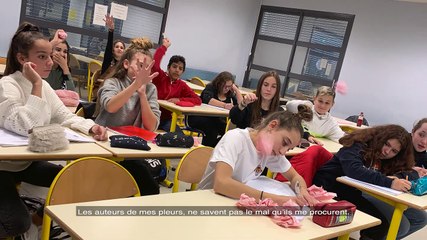 Prix Non au harcèlement 2020 - Collège Elie Coutarel d'Istres